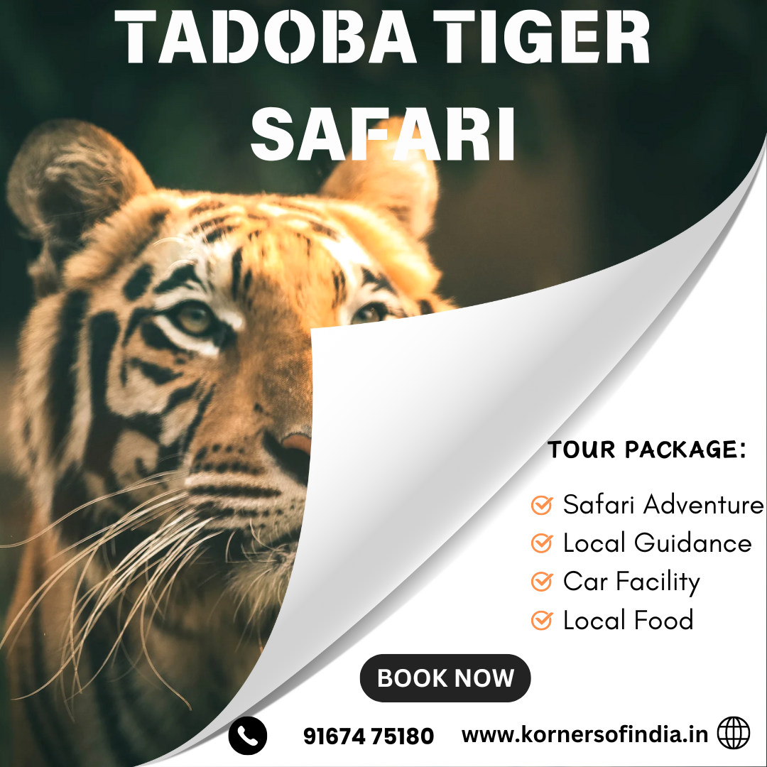 Tadoba Tiger Safari